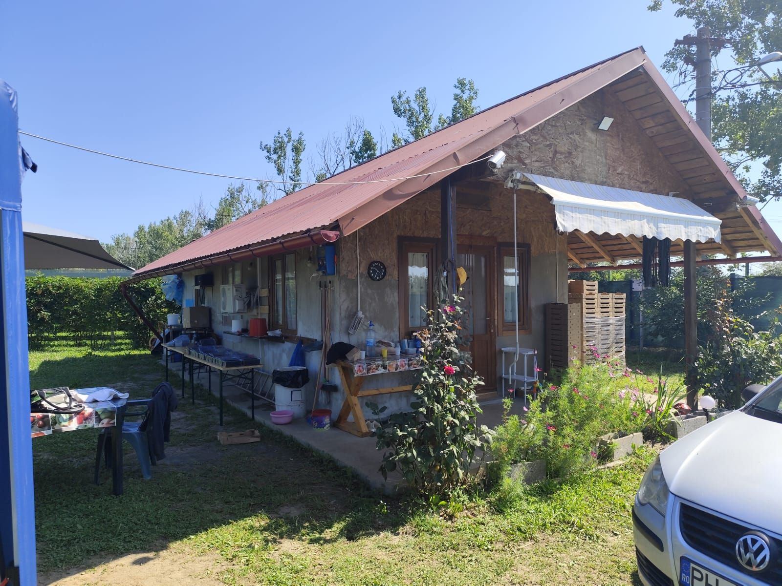 Plantatie de Muri Baicoi 10.000 mp Afacere la cheie! — fotografia 10
