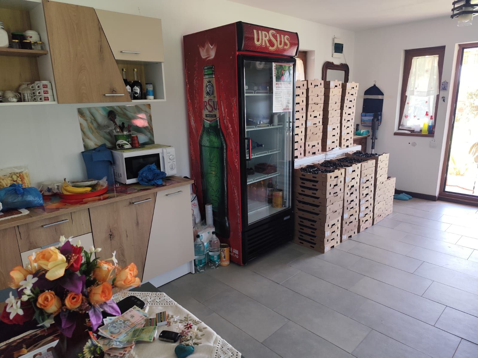 Plantatie de Muri Baicoi 10.000 mp Afacere la cheie! — fotografia 4