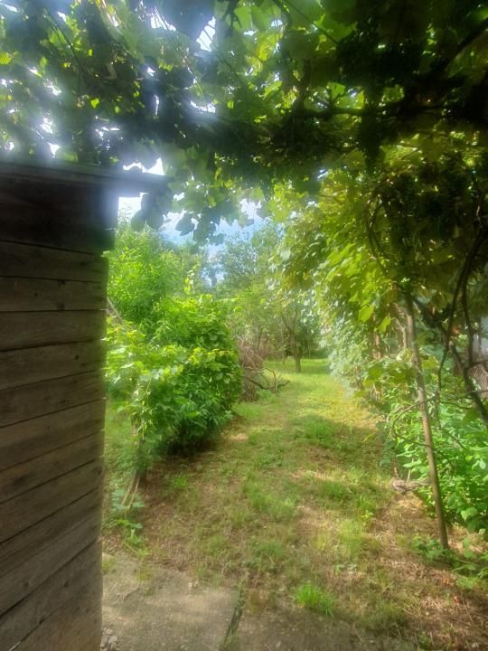 Casa Baicoi 1280 mp — fotografia 8