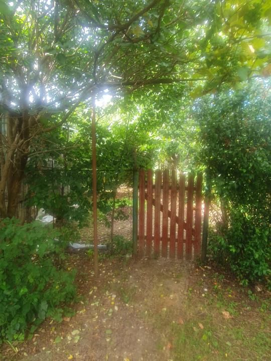 Casa Baicoi 1280 mp — fotografia 9