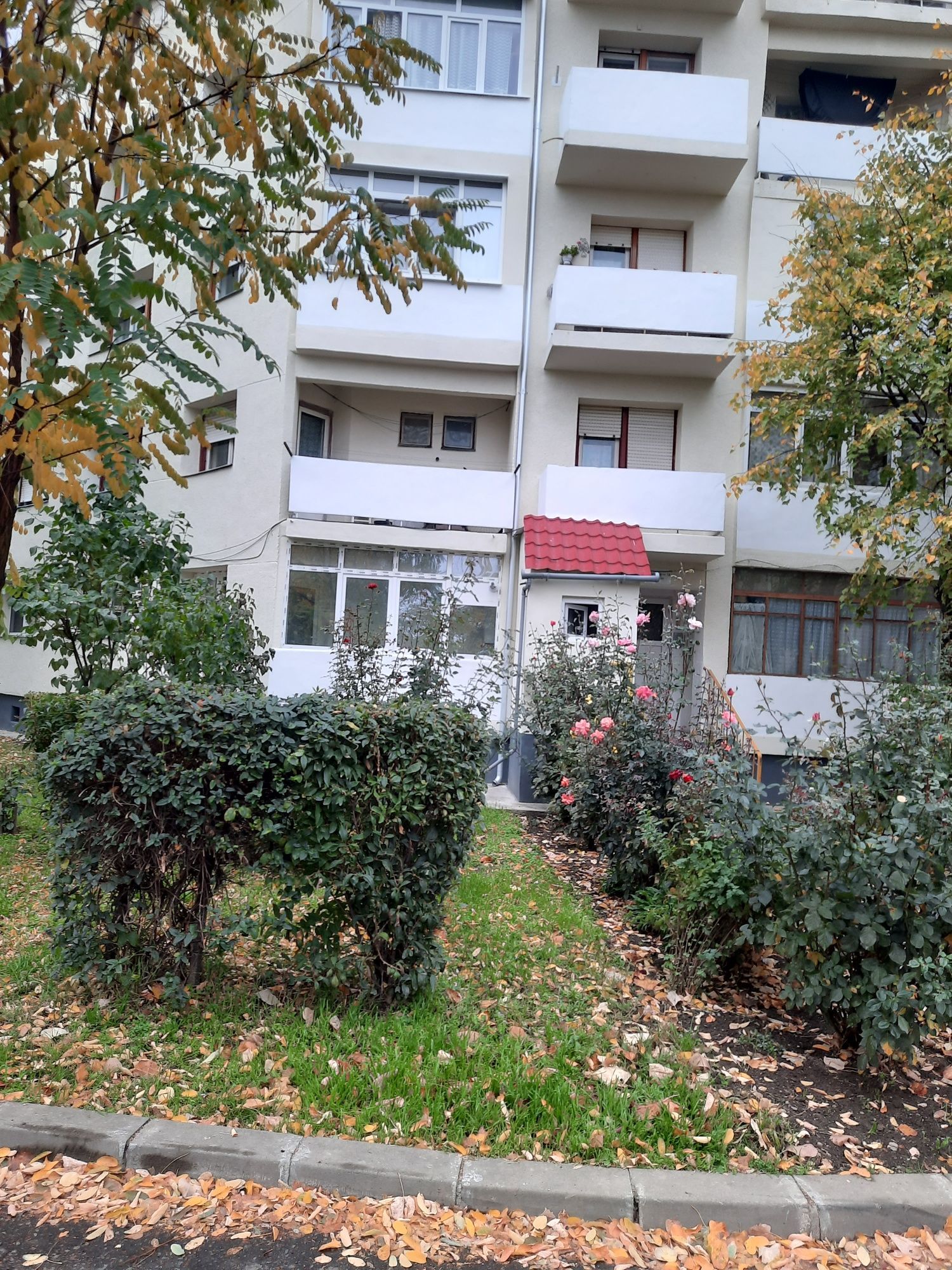 BRASADAS vinde ap 3 cam la PARTER în Micro 16.
