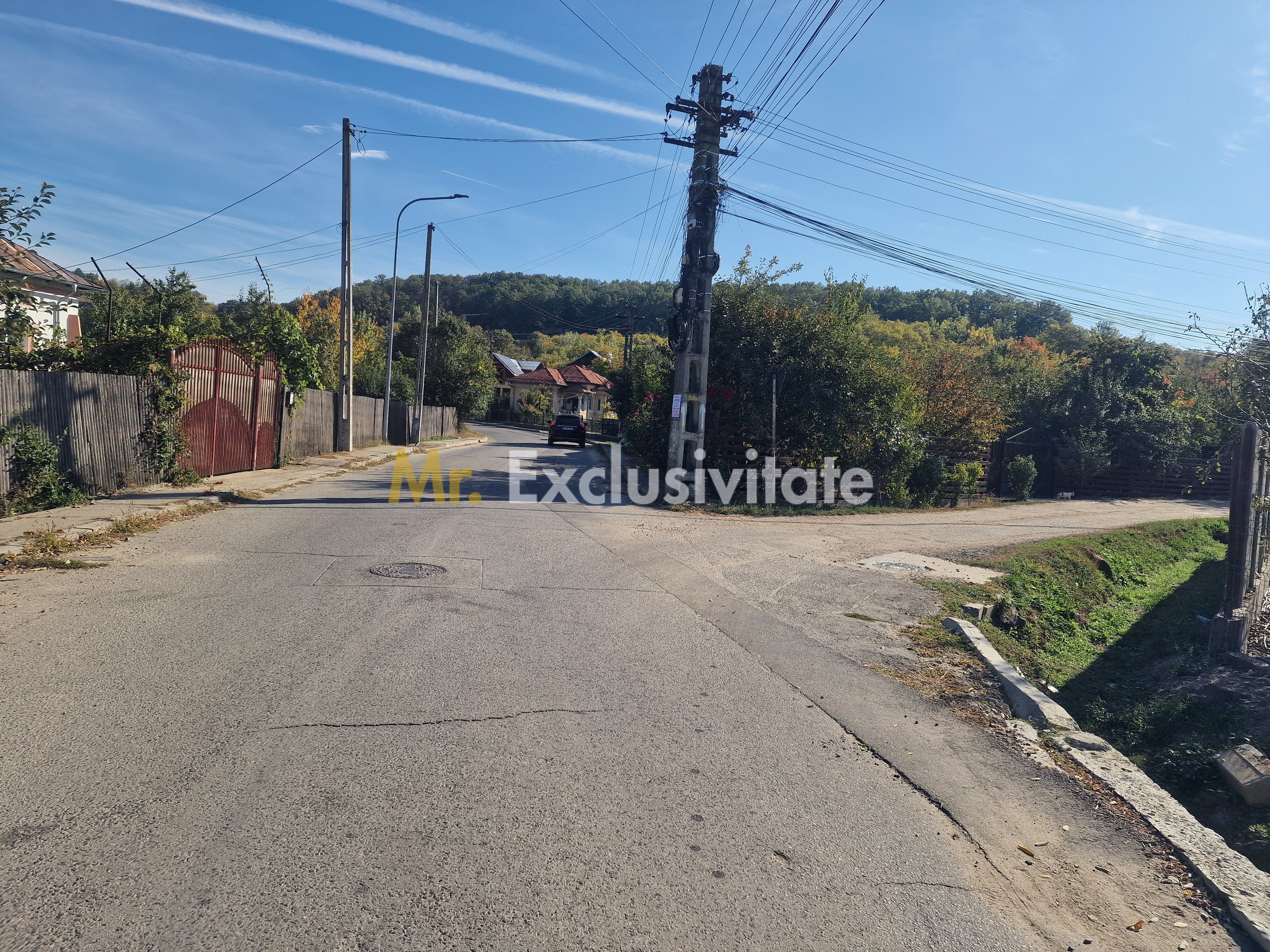Teren intravilan Topoloveni — fotografia 3