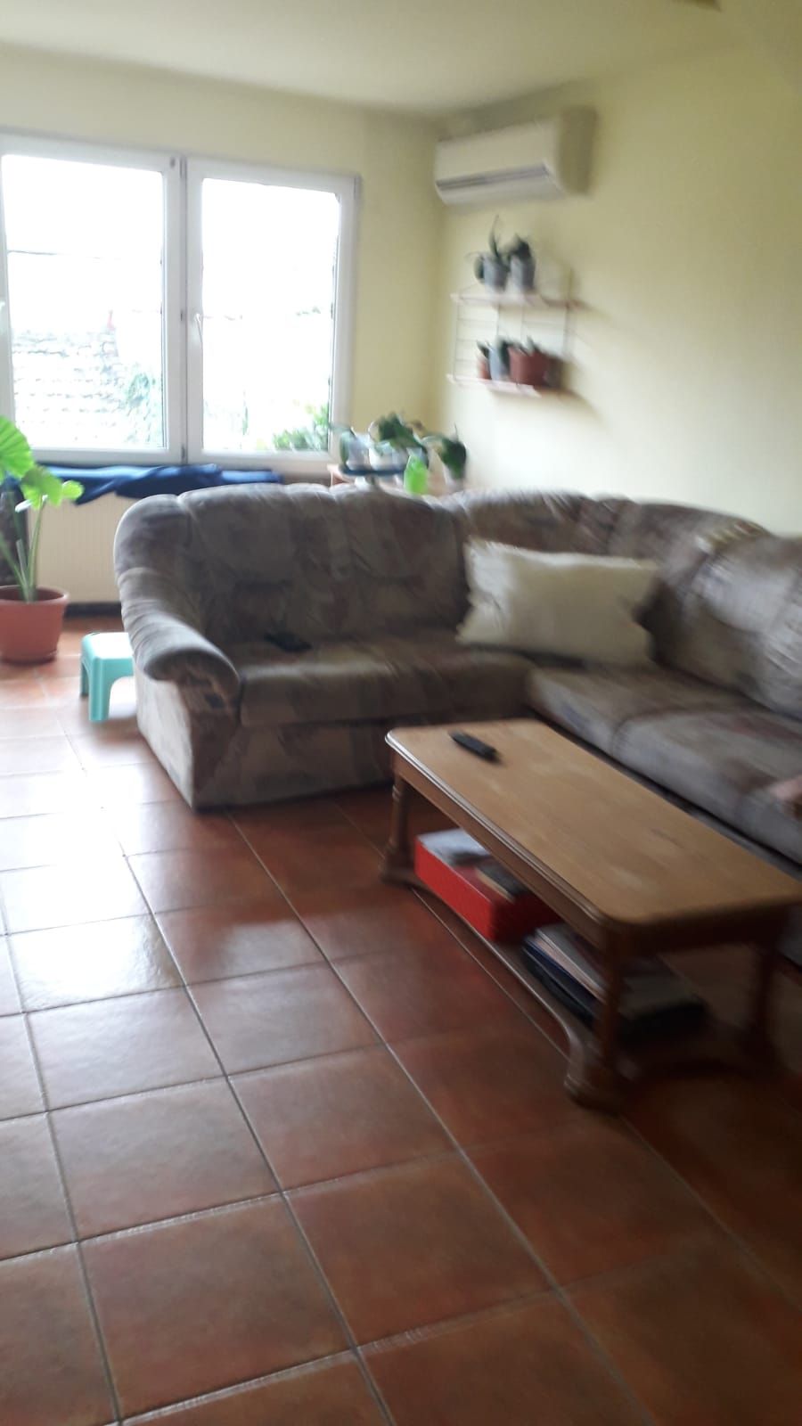 Casă individala cu etaj, având 2 apartamente separate în Timișoara — fotografia 2