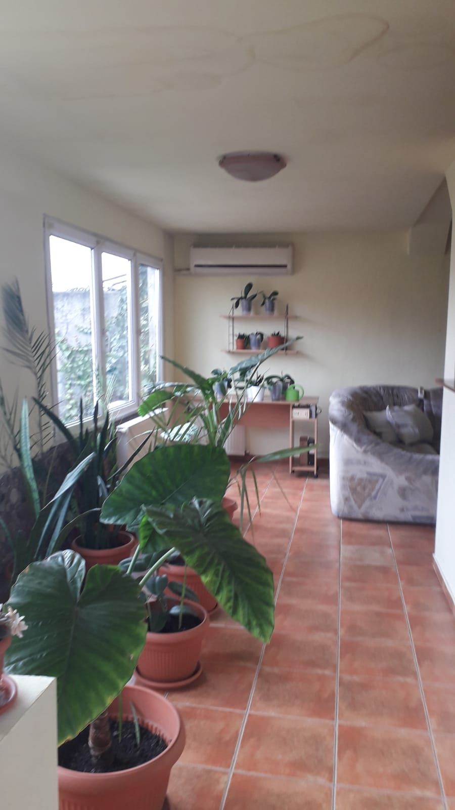 Casă individala cu etaj, având 2 apartamente separate în Timișoara — fotografia 6