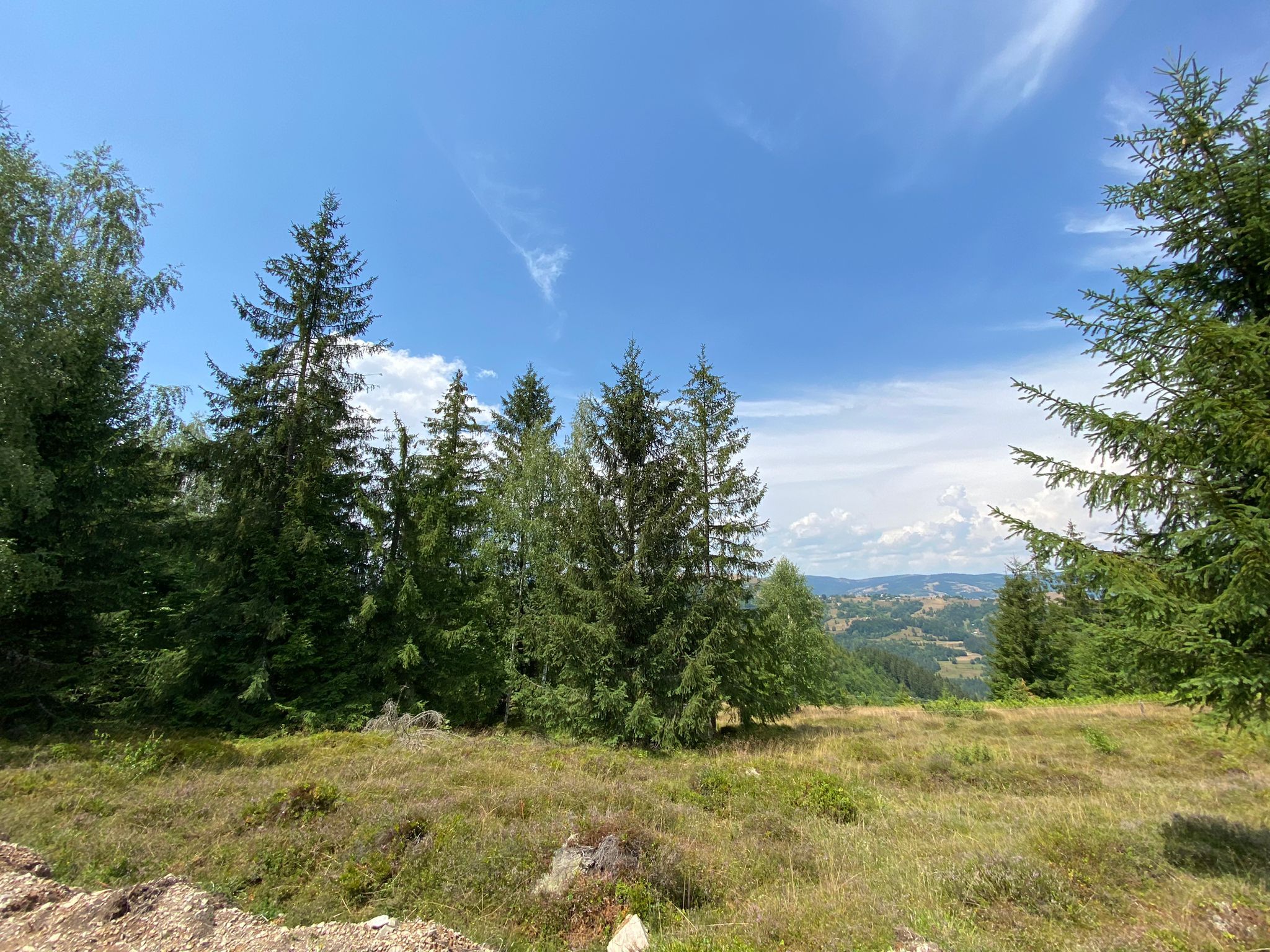 Teren intravilan 3.120 mp in Sohodol, Albac - Muntii Apuseni — fotografia 4