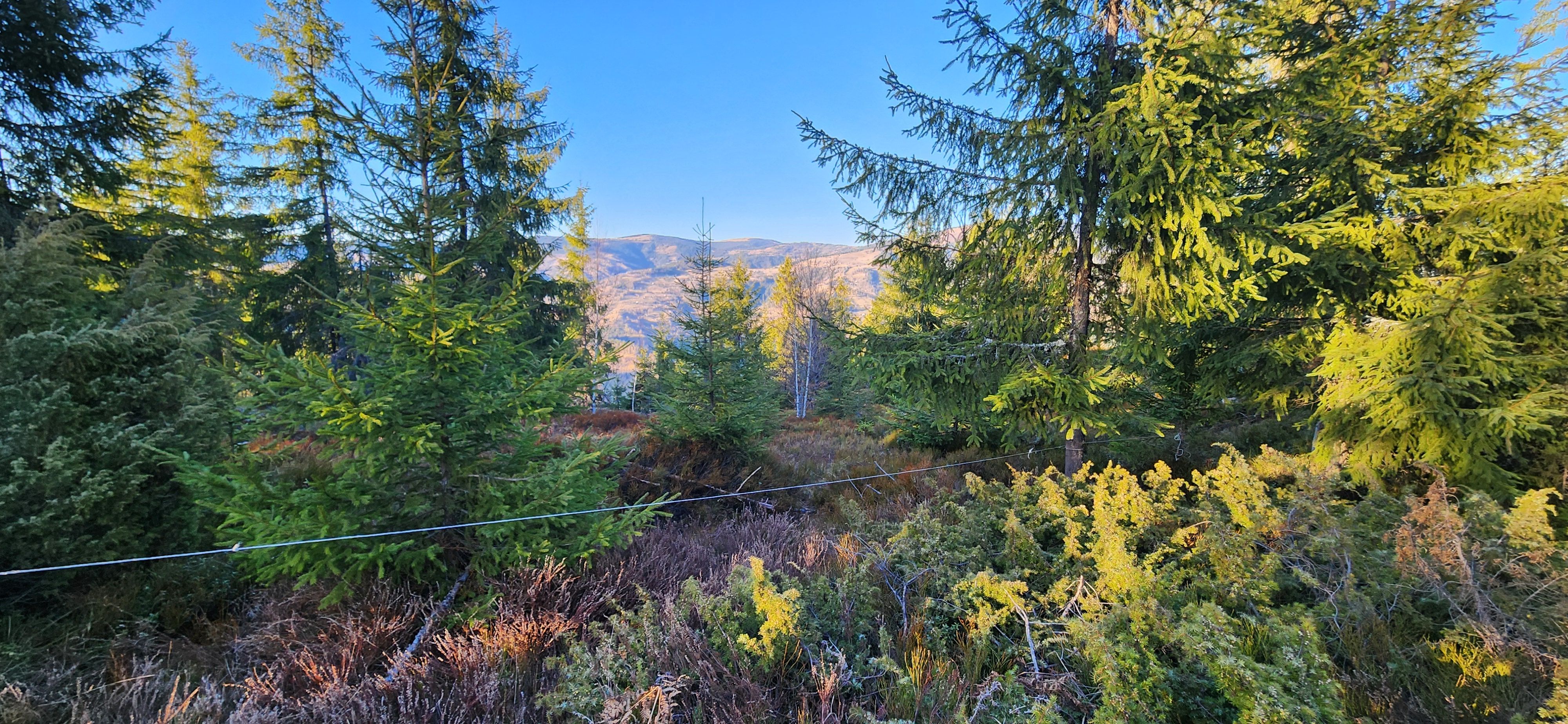 Teren intravilan 3.120 mp in Sohodol, Albac - Muntii Apuseni — fotografia 5