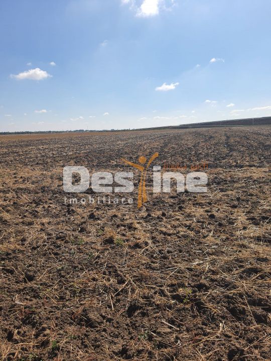 TEREN  EXTRAVILAN 7.802 mp –DOMNESTI, ILFOV
