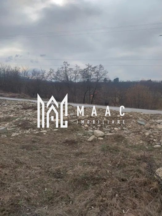 Teren intravilan I Valea Avrigului I 5000 mp — fotografia 3