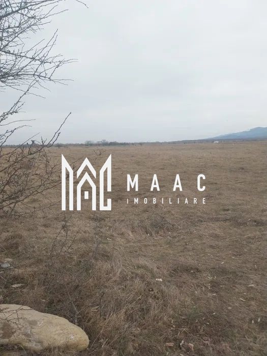 Teren intravilan I Valea Avrigului I 5000 mp — fotografia 4