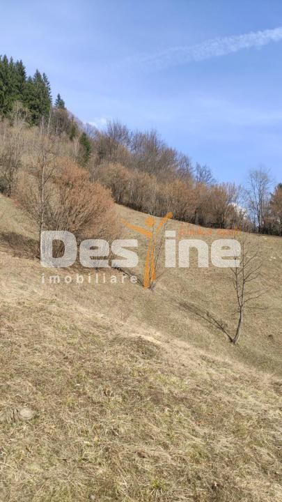 Teren 5000 mp, ideal cabana, pensiune,  in zona de interes  turistic  Rucar-Bran — fotografia 3