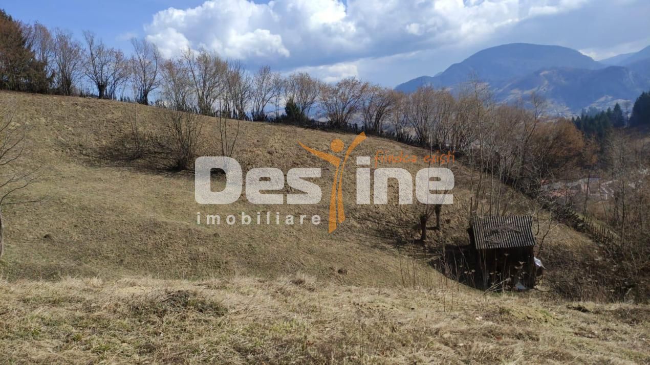 Teren 5000 mp, ideal cabana, pensiune,  in zona de interes  turistic  Rucar-Bran — fotografia 4