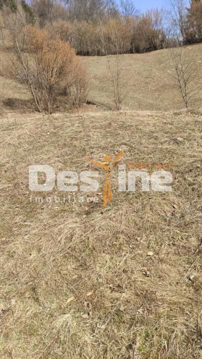 Teren 5000 mp, ideal cabana, pensiune,  in zona de interes  turistic  Rucar-Bran — fotografia 6