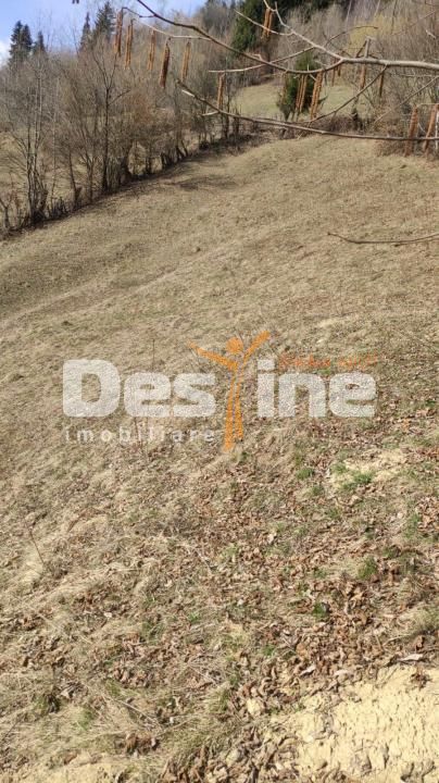 Teren 5000 mp, ideal cabana, pensiune,  in zona de interes  turistic  Rucar-Bran — fotografia 7