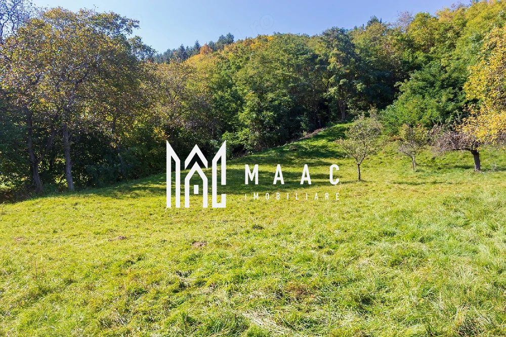 Teren | Intravilan | 2439 MPU | Fântânele — fotografia 5