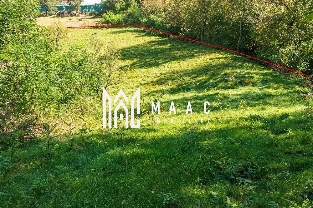 Teren | Intravilan | 2439 MPU | Fântânele — fotografia 6