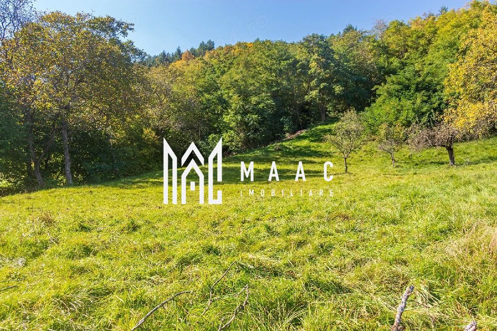 Teren | Intravilan | 2439 MPU | Fântânele — fotografia 7