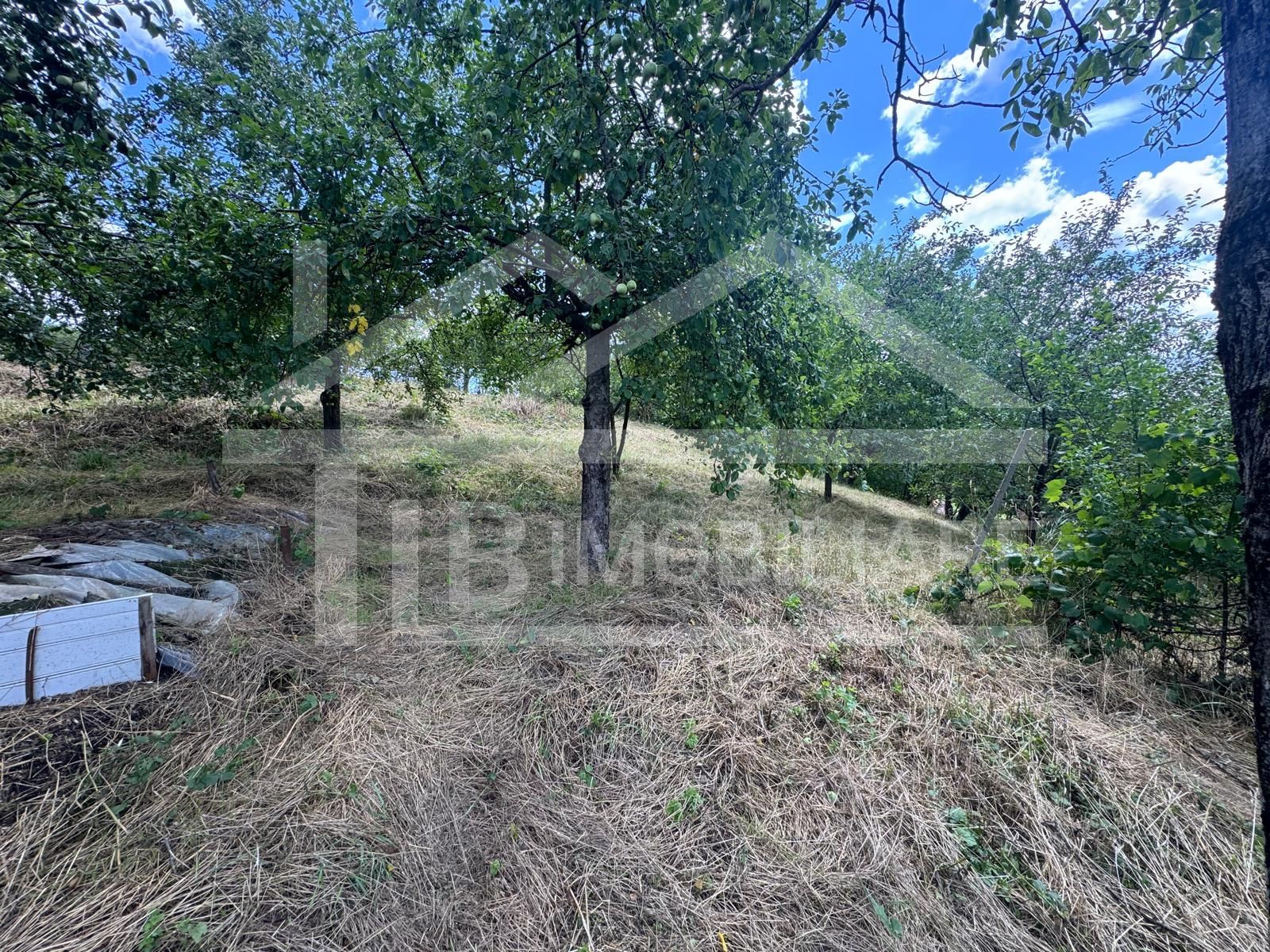 Casa cu 3 camere, 2300mp teren, zona SubPadure — fotografia 16