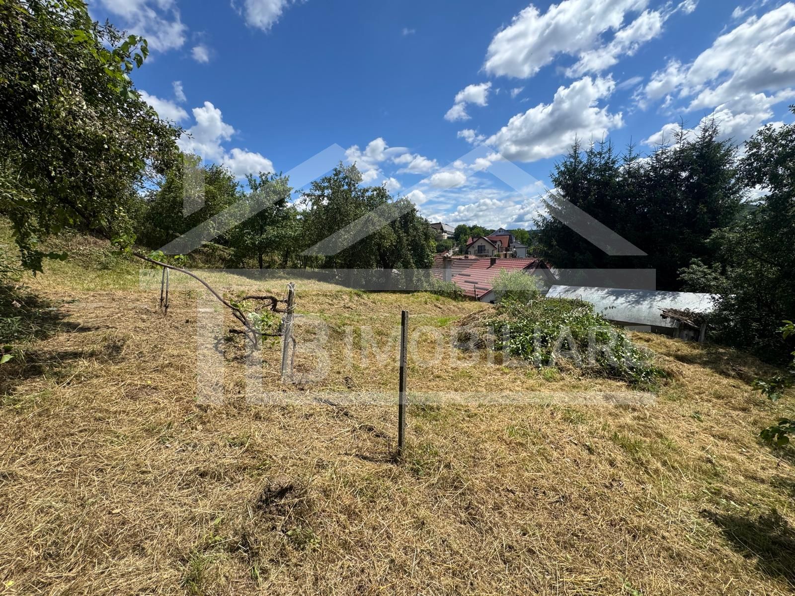 Casa cu 3 camere, 2300mp teren, zona SubPadure — fotografia 17