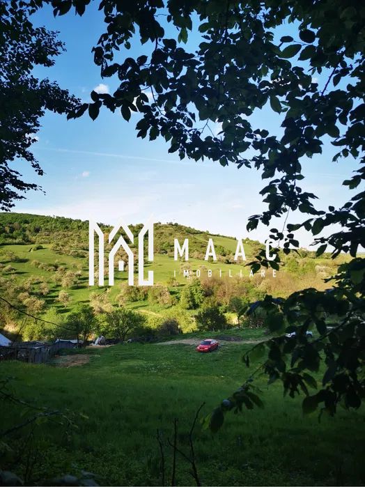 Teren | Intravilan | 5129 MP | 2 Cabane AFrame | Oportunitate Investiție | Bradu — fotografia 5