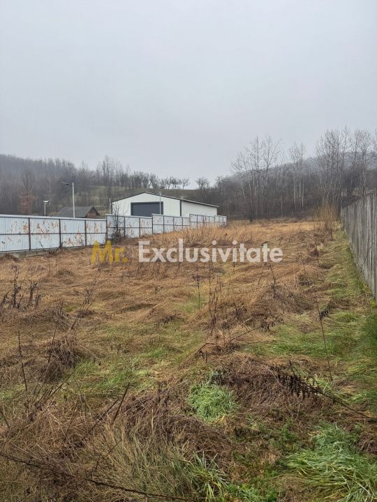 Teren 1758 mp DN7 - Prislopu Mare, Draganu! — fotografia 5