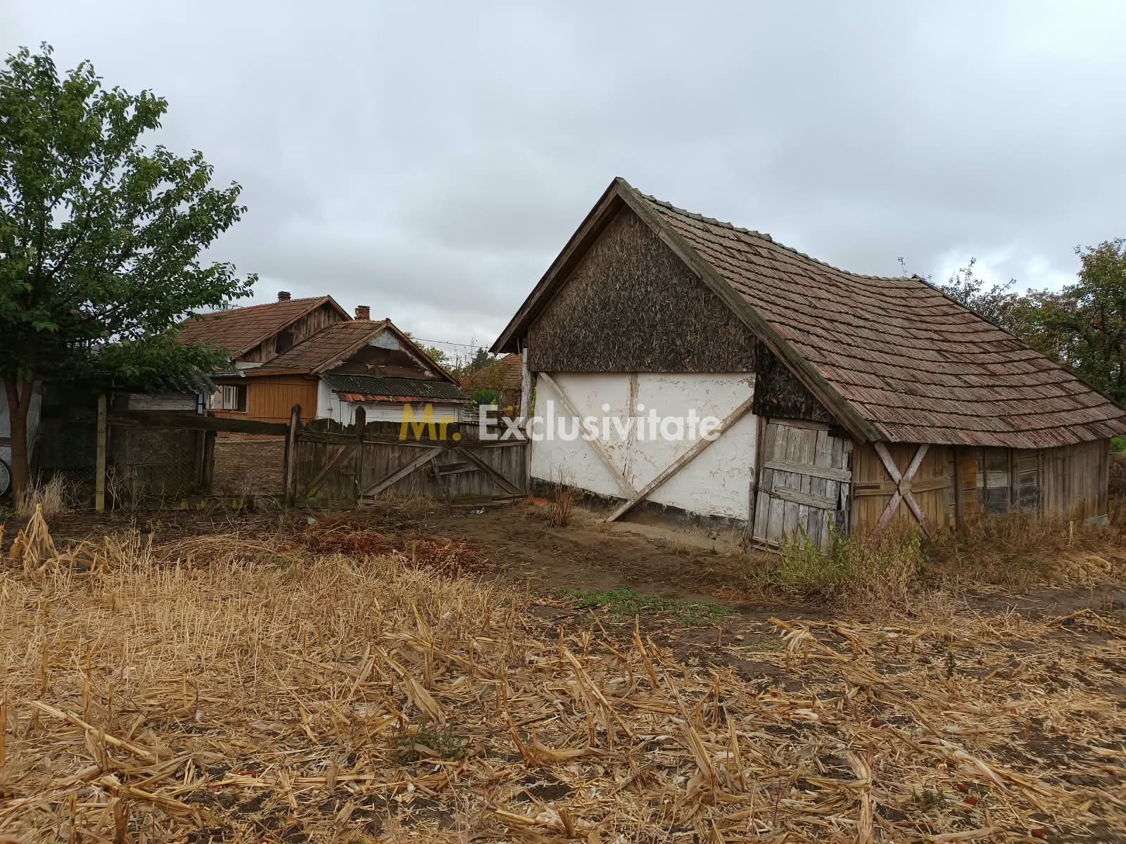 Casă tradițională cu teren de 4.400 mp în Vașad — fotografia 2