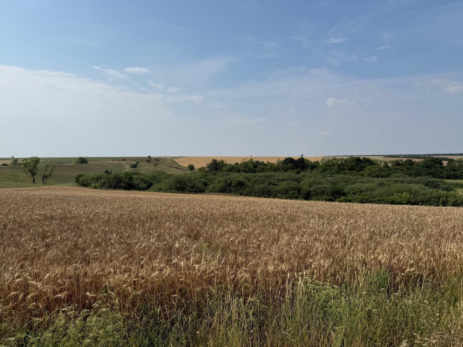 Teren intravilan Miersig, vedere la lac. 12,5 E/mp neg. Comision 0 — fotografia 11