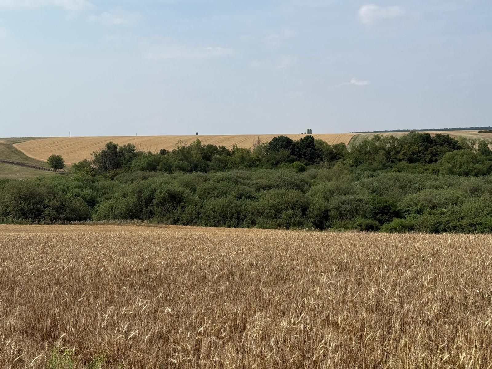 Teren intravilan Miersig, vedere la lac. 12,5 E/mp neg. Comision 0 — fotografia 12