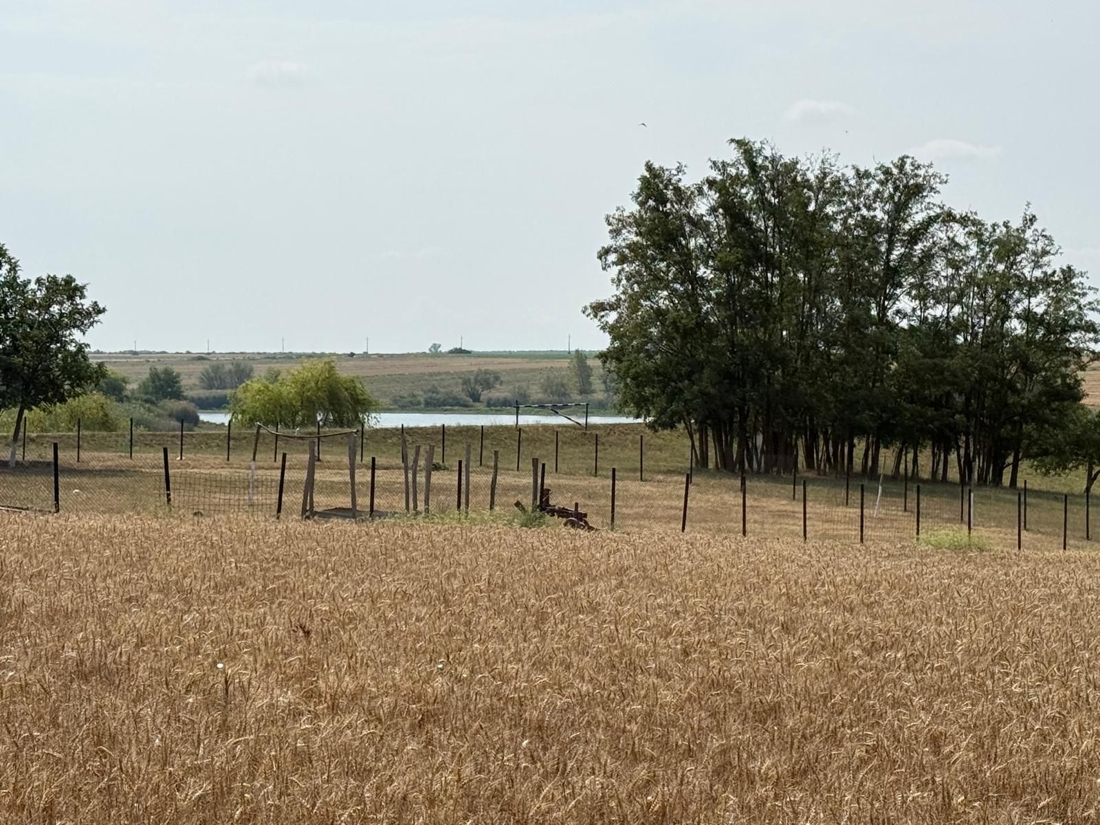 Teren intravilan Miersig, vedere la lac. 12,5 E/mp neg. Comision 0 — fotografia 4