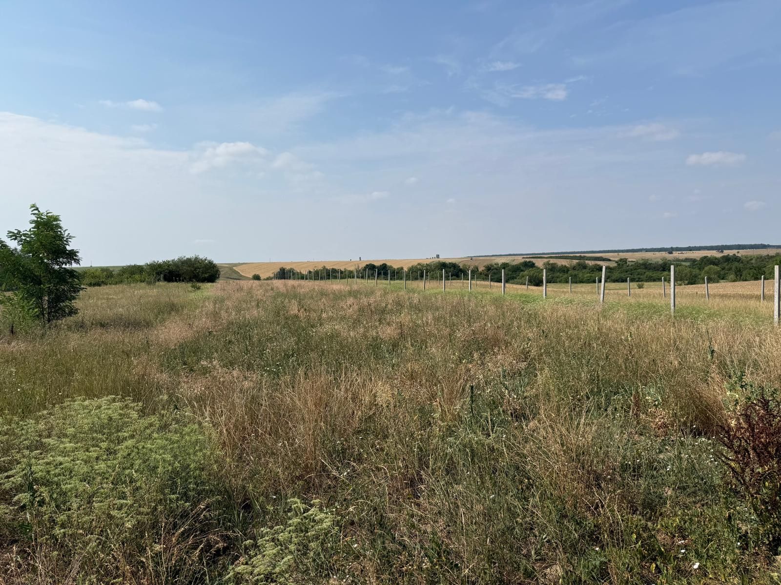 Teren intravilan Miersig, vedere la lac. 12,5 E/mp neg. Comision 0 — fotografia 7