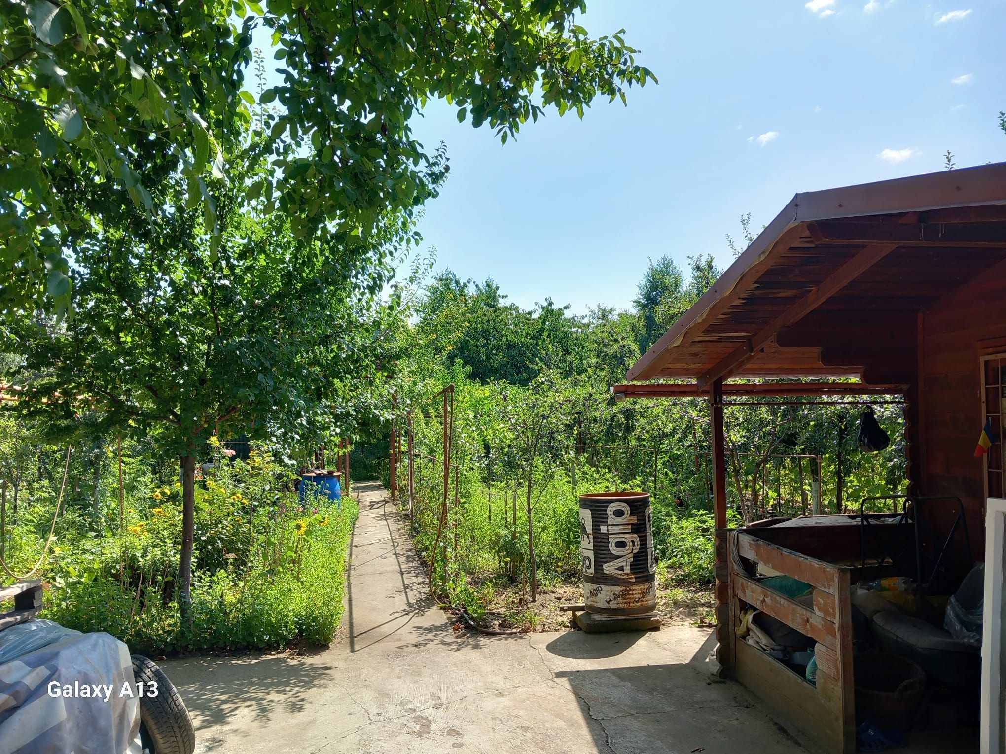 Ag EUROPA vinde teren BERCU ROSU toate utilitatile și casa vacanta. — fotografia 2