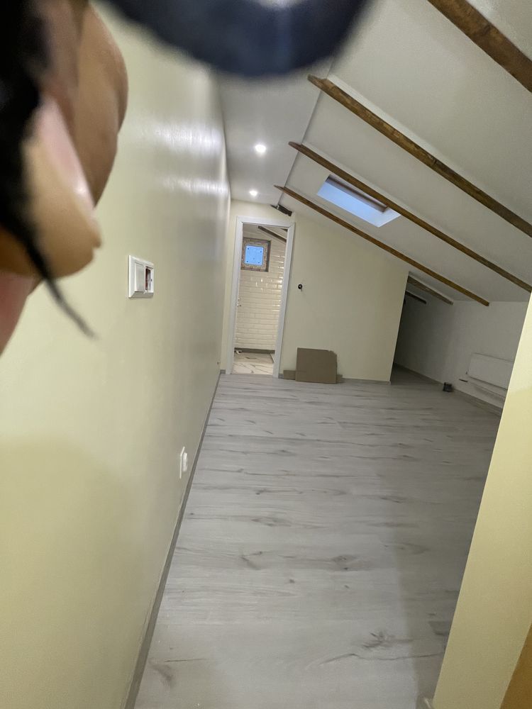 Casa Domenii -Turda-Ion Mihalache — fotografia 5