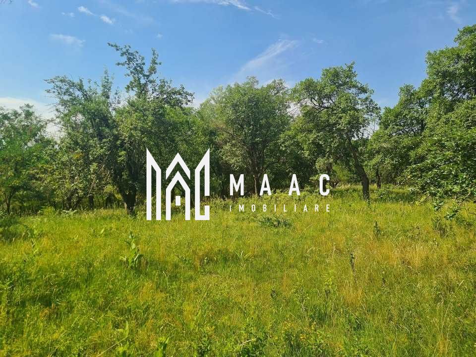 Teren | 2.547mp Intravilan/ 10.375mp Extravilan | Loamneș