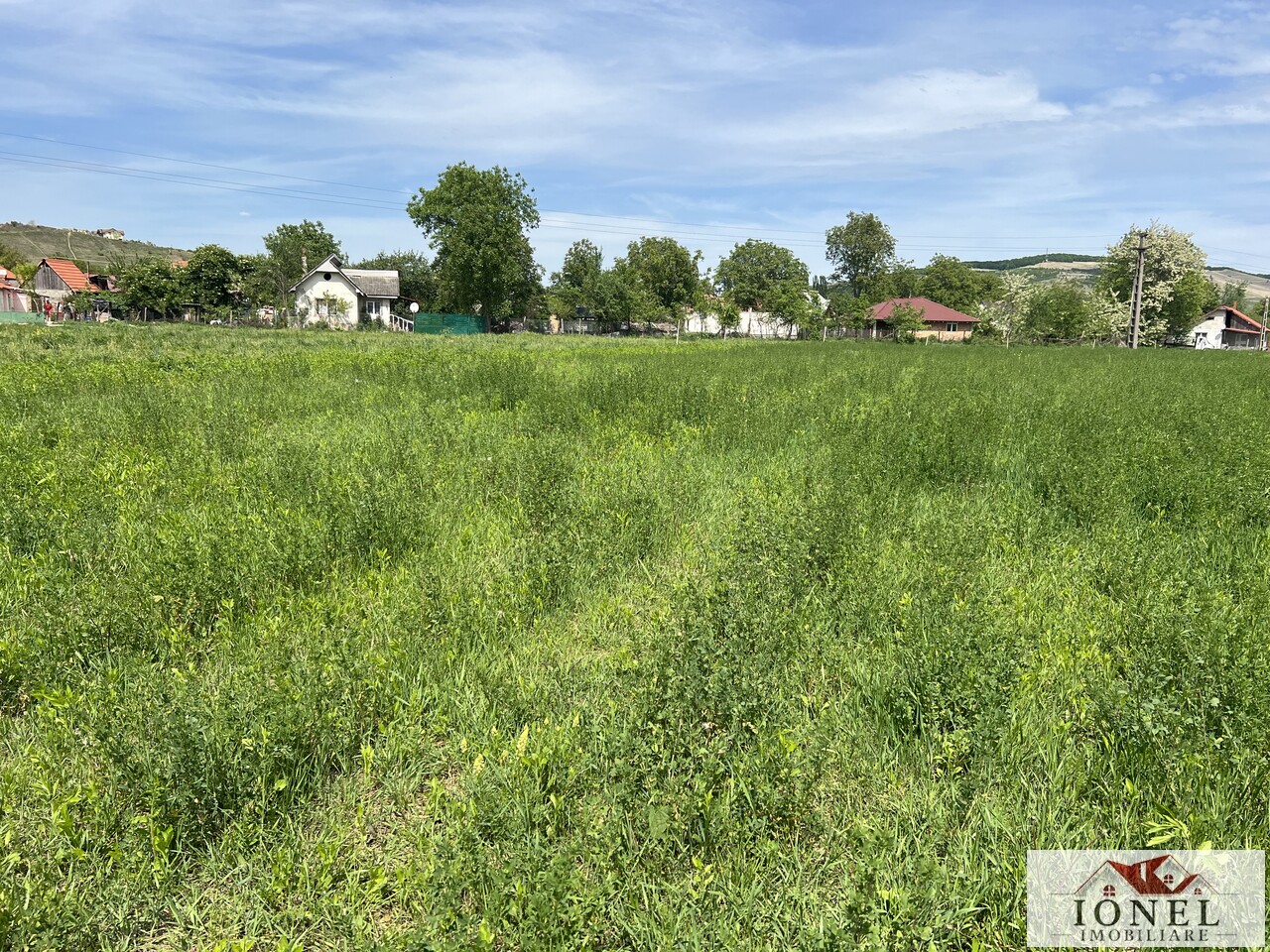Teren intravilan de vanzare in Sard