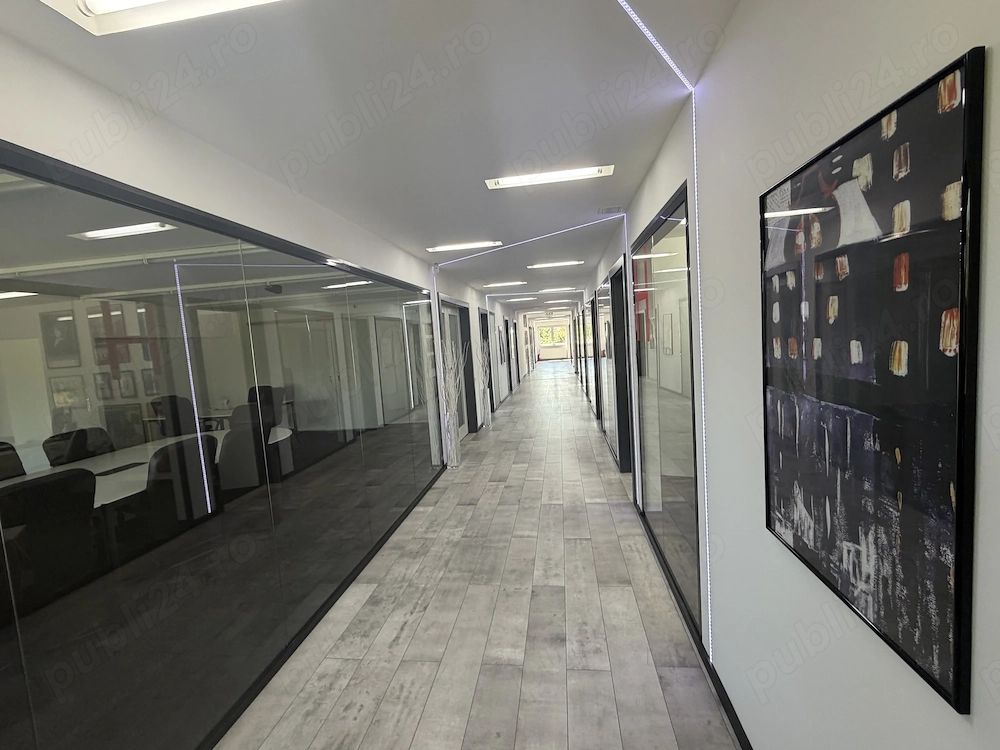 Hala P+1 cu birouri, depozit si teren 2.641 mp de vanzare Timisoara — fotografia 4