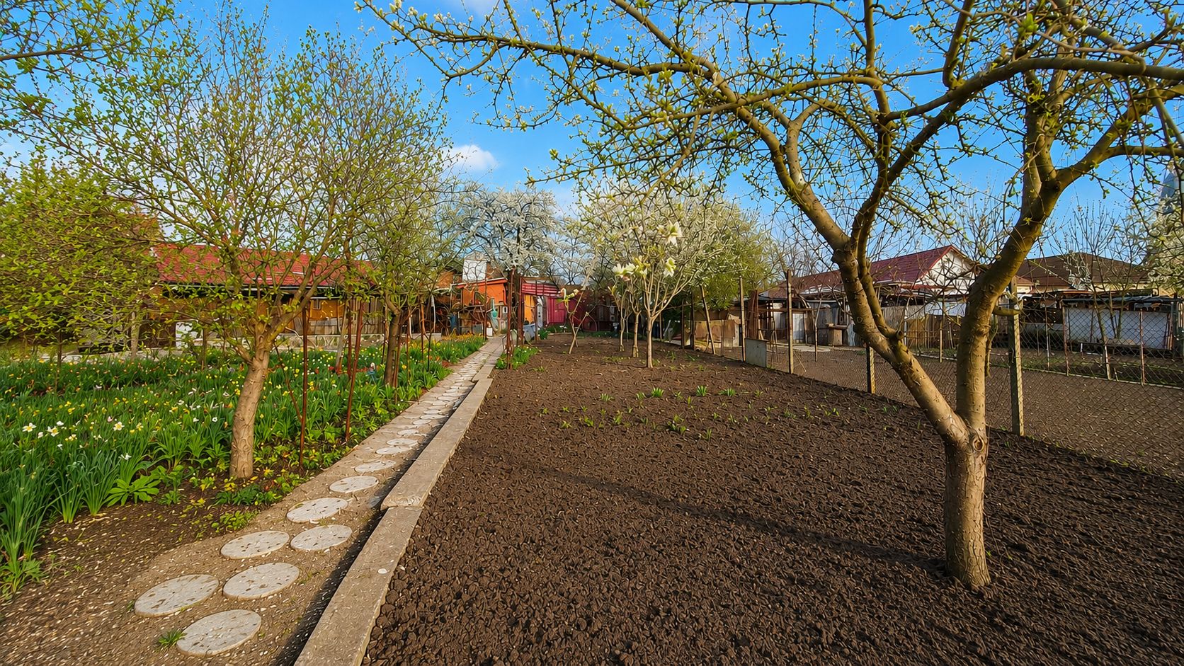Casă individuală, teren generos de 1.348mp, poziție centrală, Giarmata — fotografia 10