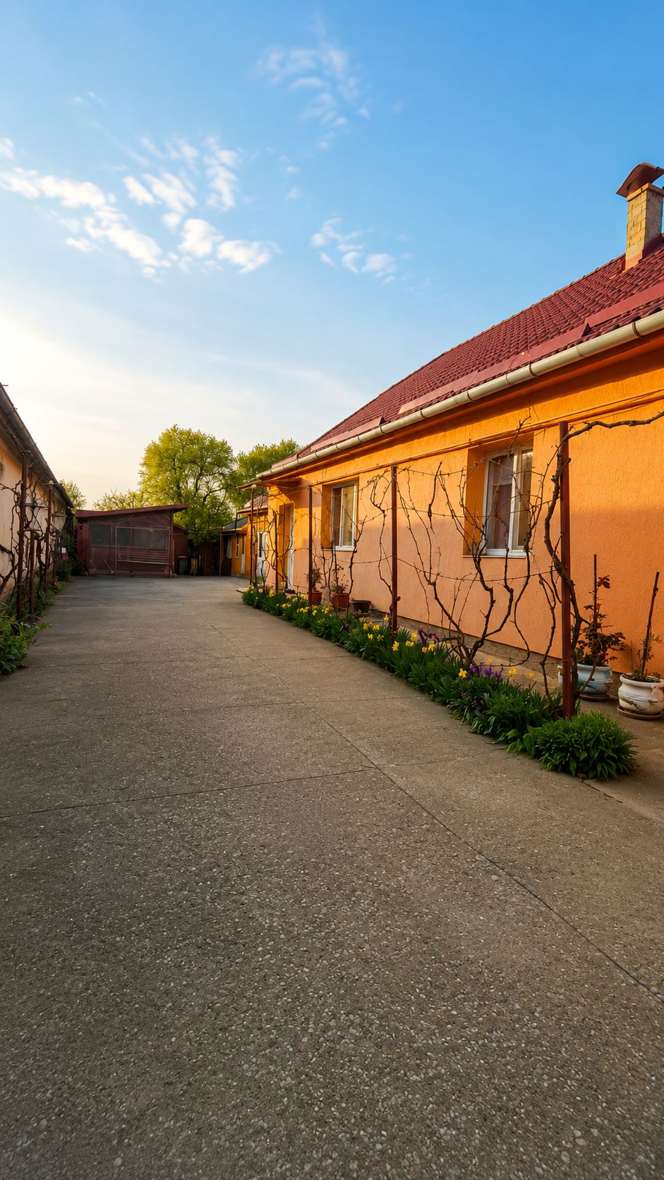 Casă individuală, teren generos de 1.348mp, poziție centrală, Giarmata — fotografia 15