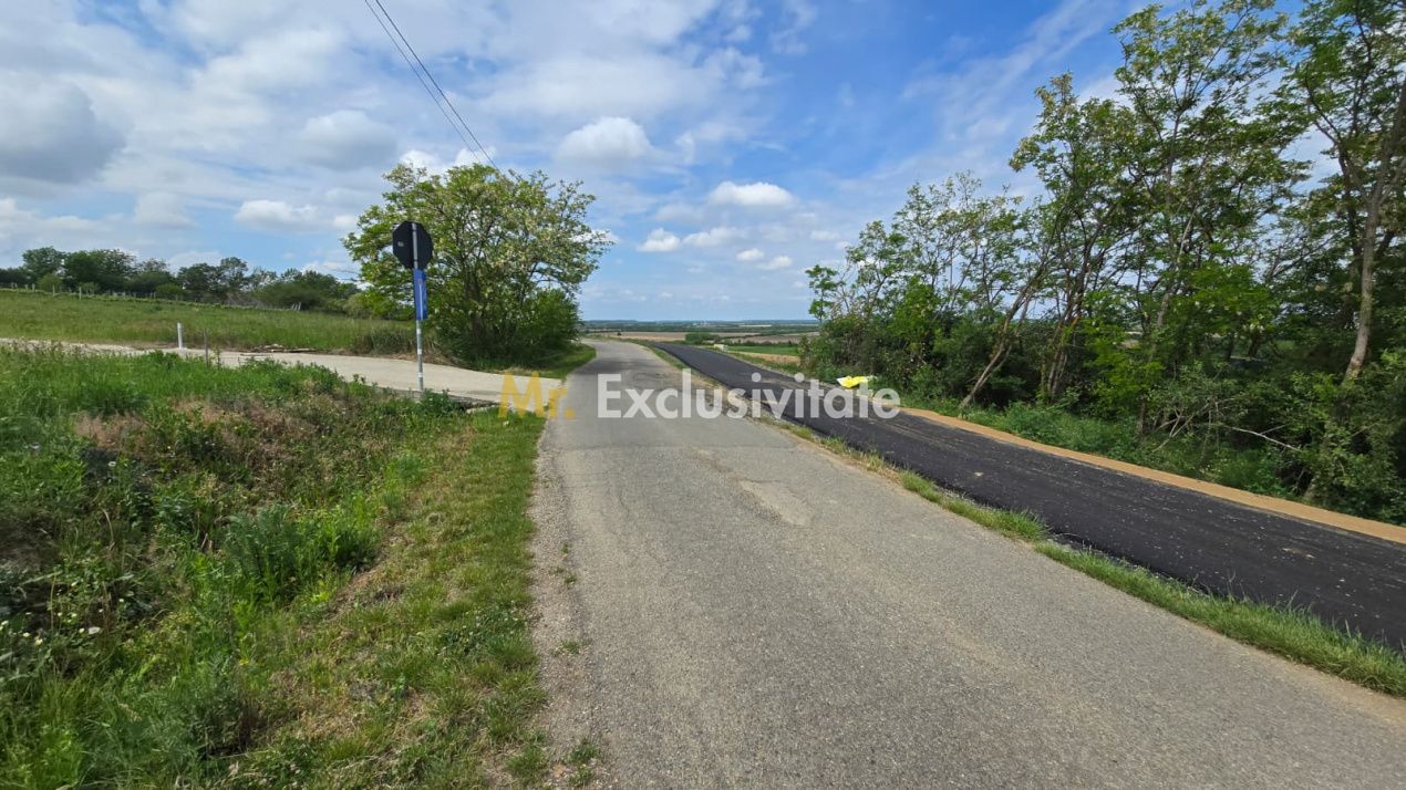 Teren intravilan Ardud Vii Satu Mare — fotografia 3