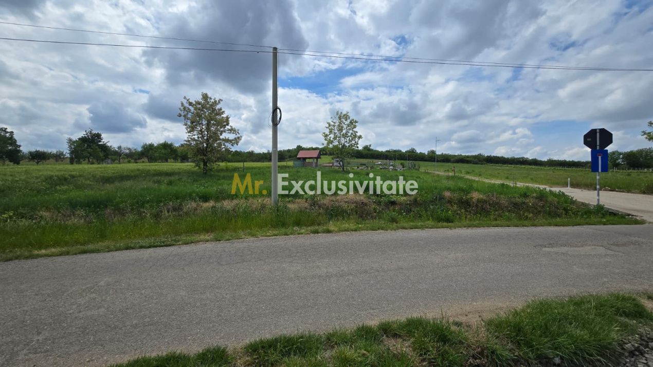 Teren intravilan Ardud Vii Satu Mare — fotografia 4