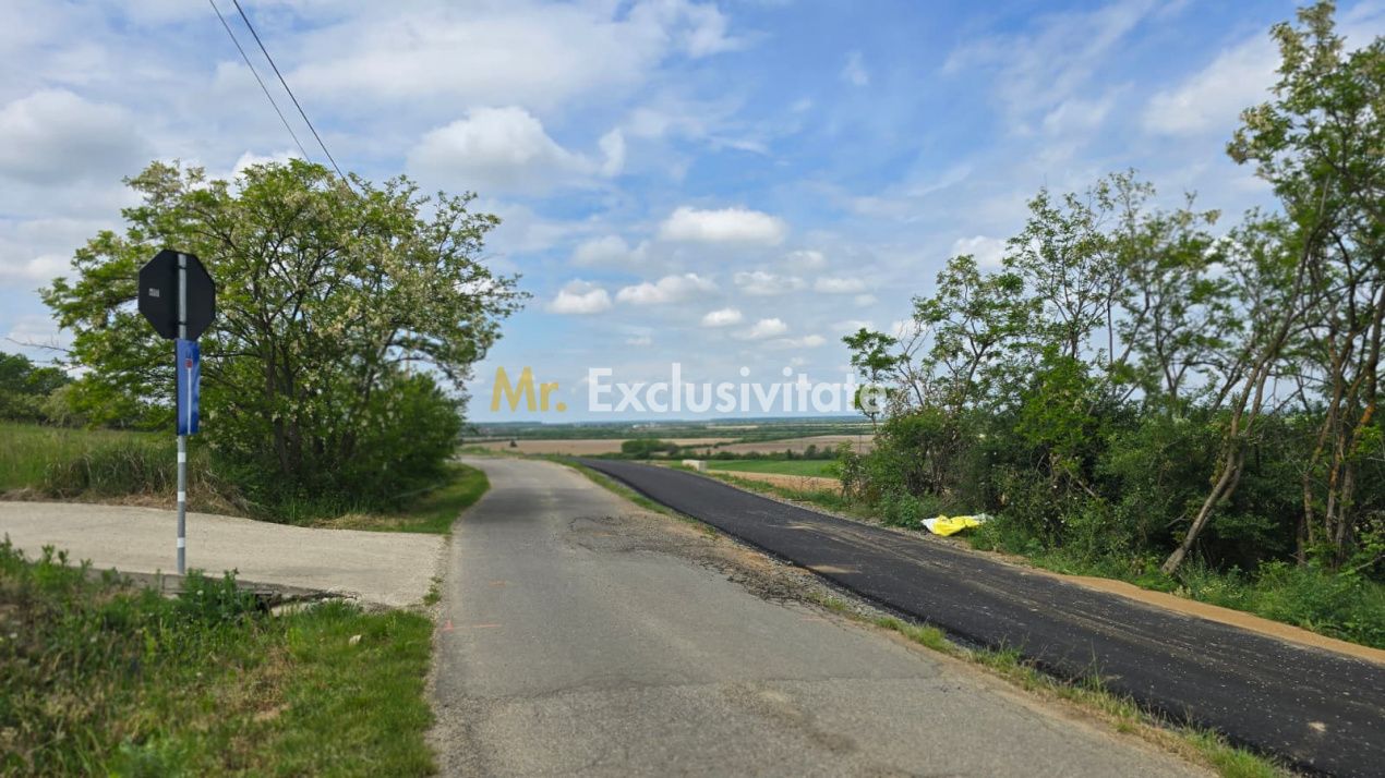 Teren intravilan Ardud Vii Satu Mare — fotografia 5