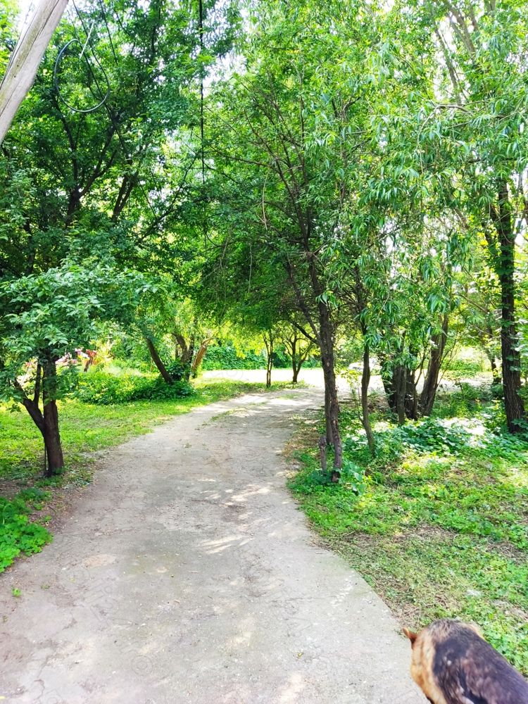 Casa de vanzare — fotografia 3