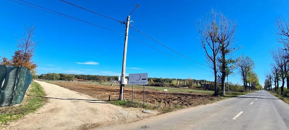 Teren intravilan de vanzare in Izvorani | Loturi de 500 mp si 1500 mp — fotografia 4
