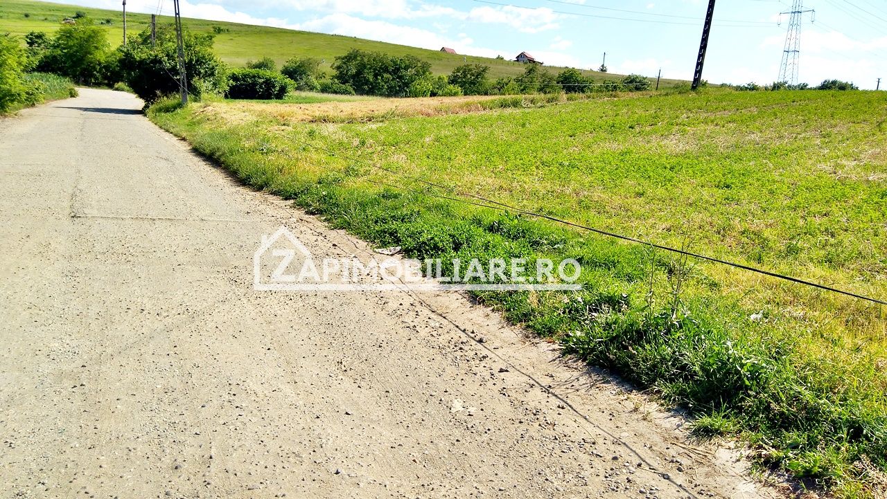 Teren 7.000 mp, Targu Mures — fotografia 5