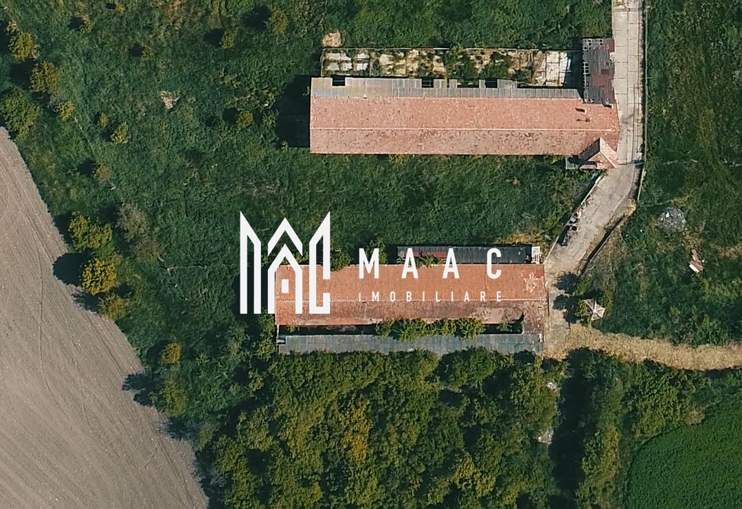 Hale disponibile 1400 mp I Teren 6000 mp I Utilități I Apoldu — fotografia 2