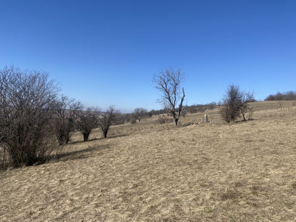 Teren vanzare Extravilan / Intravilan in Viile Sibiului Sibiu 33000 mp — fotografia 6