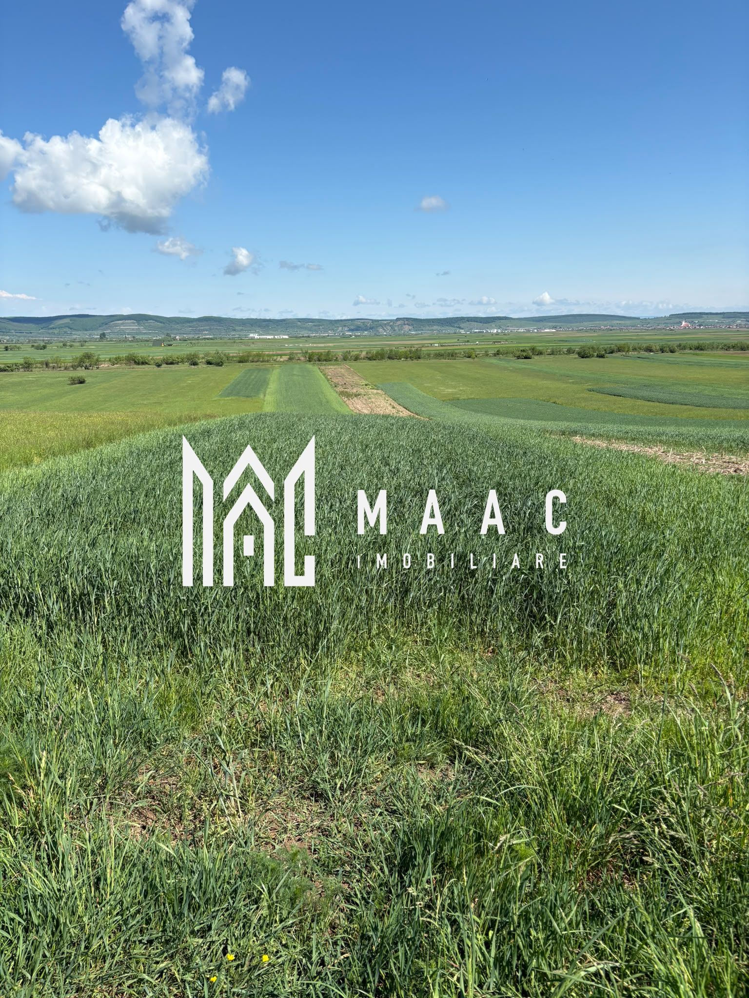 Teren extravilan 2393 mp | Gura Râului | acces, Carte Funciară