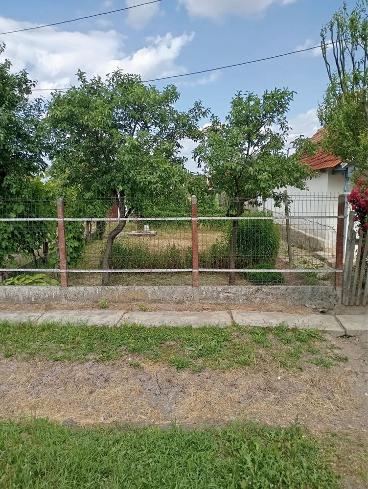 Casă de vânzare in Ardud — fotografia 4