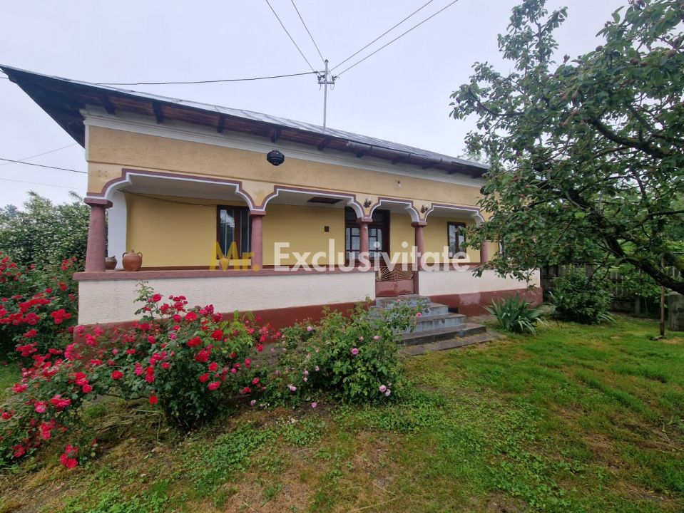 Gospodărie completă și spațioasă -Lunca Corbului- Ciesti! — fotografia 3
