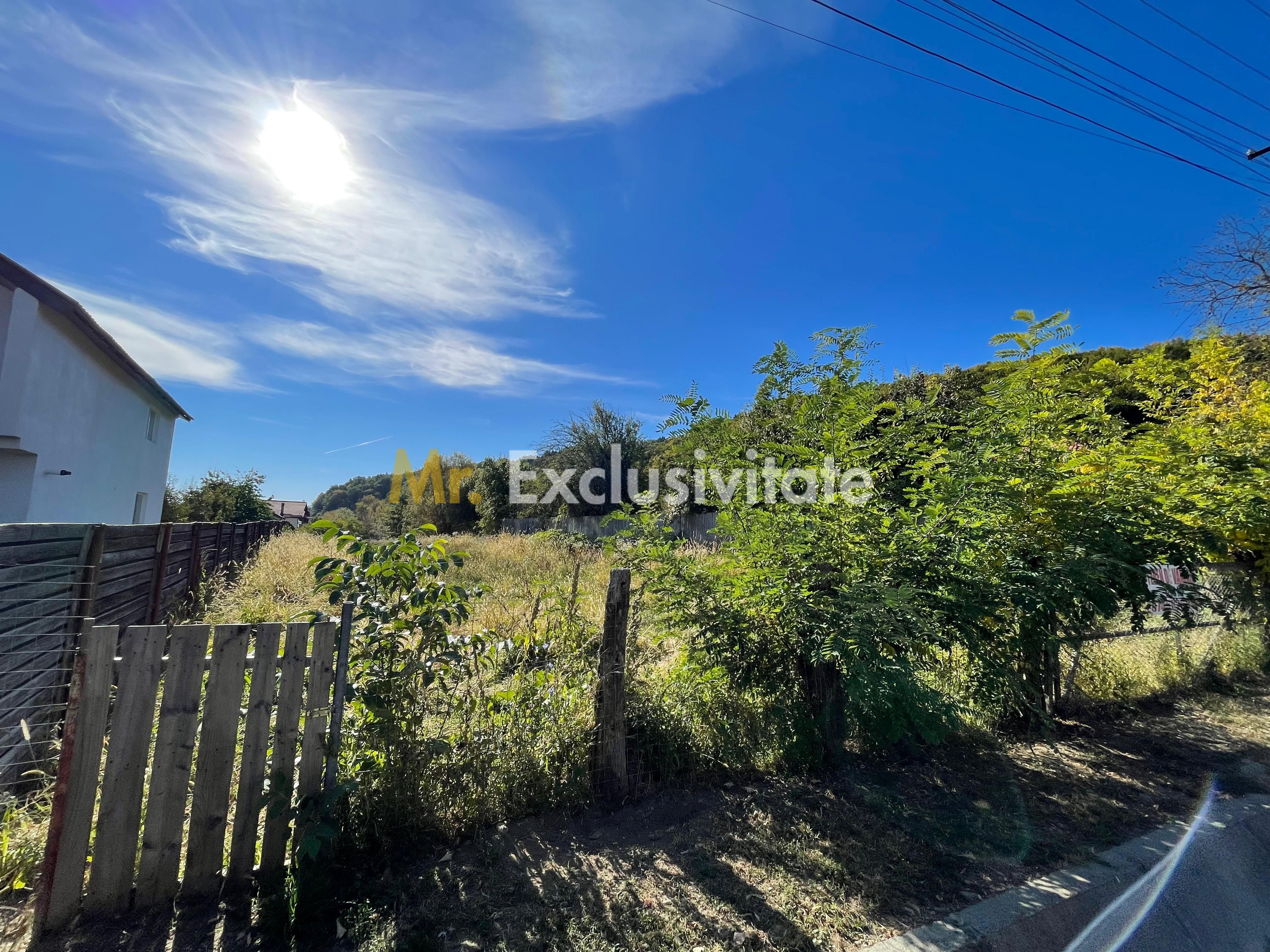 Teren 1220mp intravilan Bascov, AG — fotografia 5