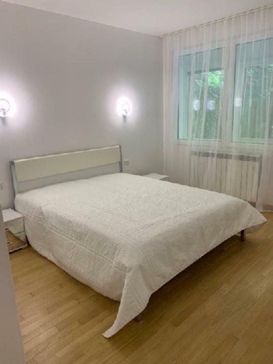Apartament luminos cu gradina Sos Nordului Parc  Herastrau — fotografia 4