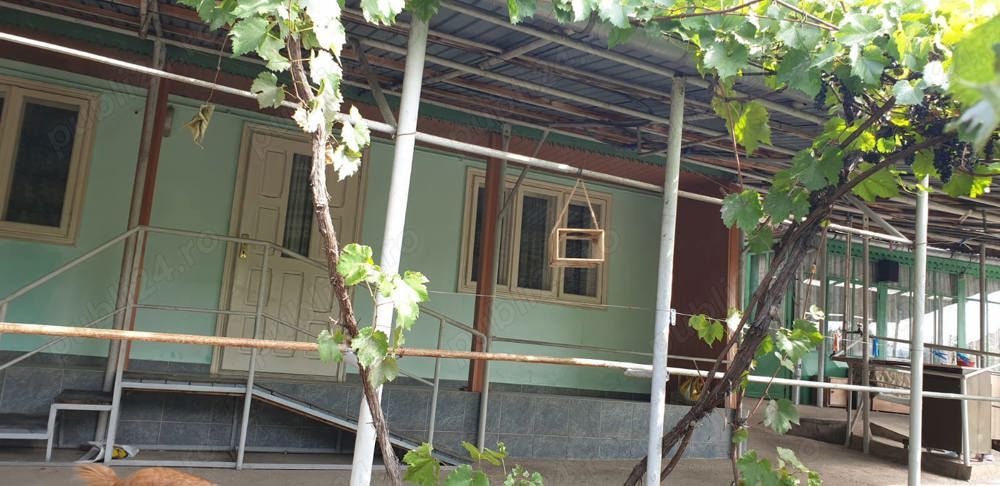 Vand casa bătrânesca — fotografia 3